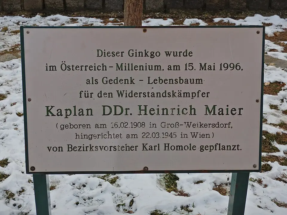 Image: GuentherZ · CC BY-SA 3.0 Gedenktafel für NS-Opfer (Wien, Bischof-Faber-Platz, Heinrich Maier)