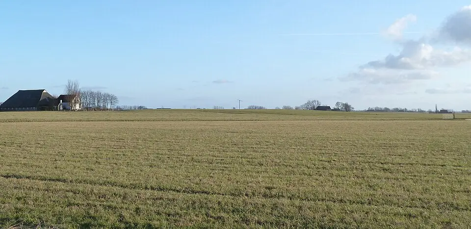 Terrein met een wierde (Zuiderweg-Zuid)