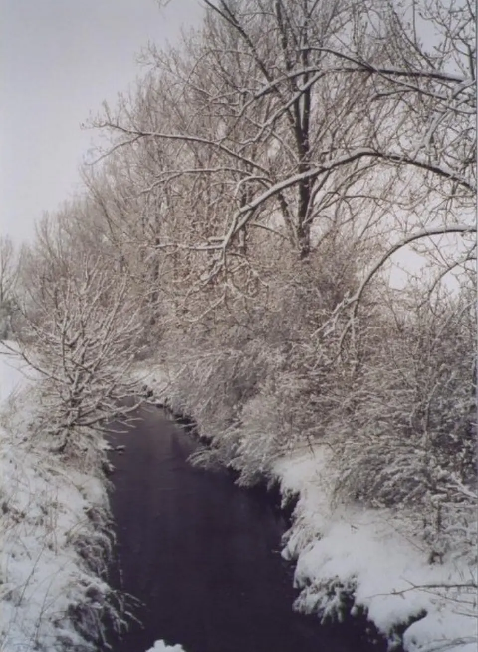 Wiesbach