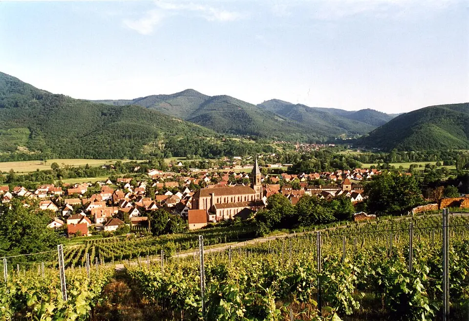 Image: Wernain Samuel at French Wikipedia · CC BY-SA 2.5 Wihr-au-Val
