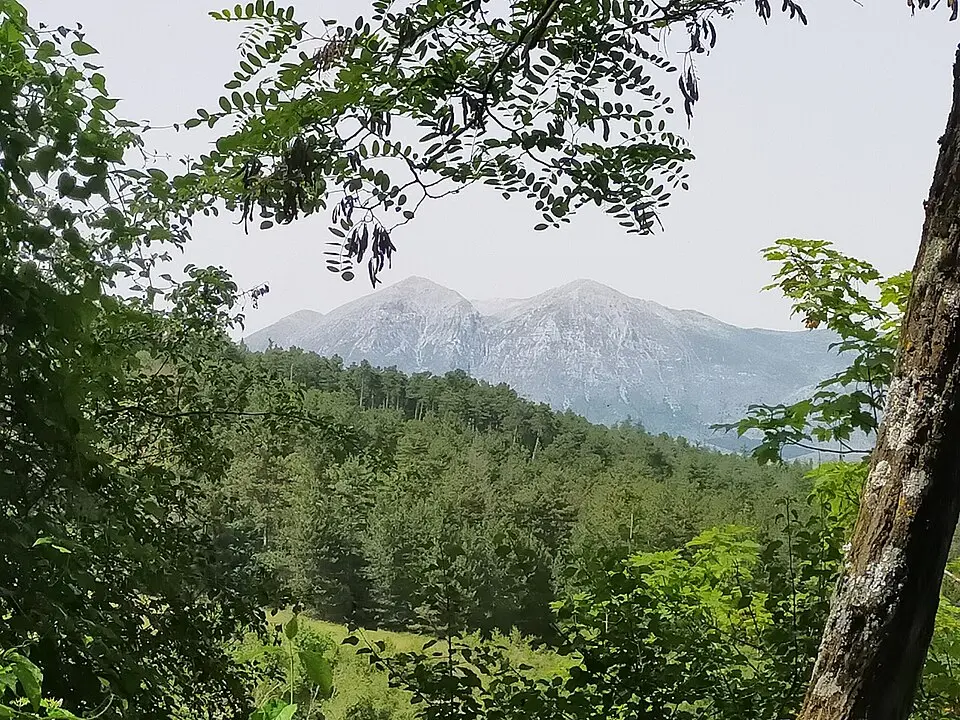 Réserve naturelle régionale de Monte Salviano