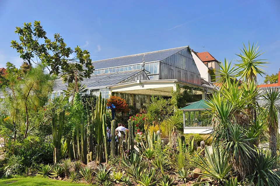 Image: © Ra Boe / Wikipedia · CC BY-SA 3.0 DE Botanischer Garten Erlangen