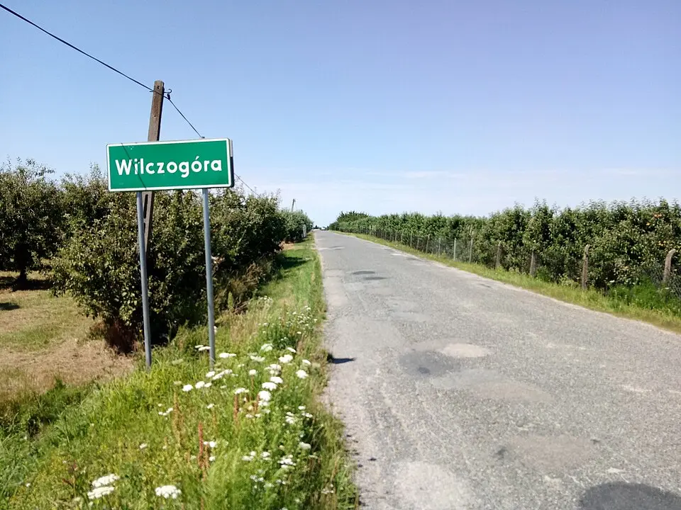 Wilczogóra