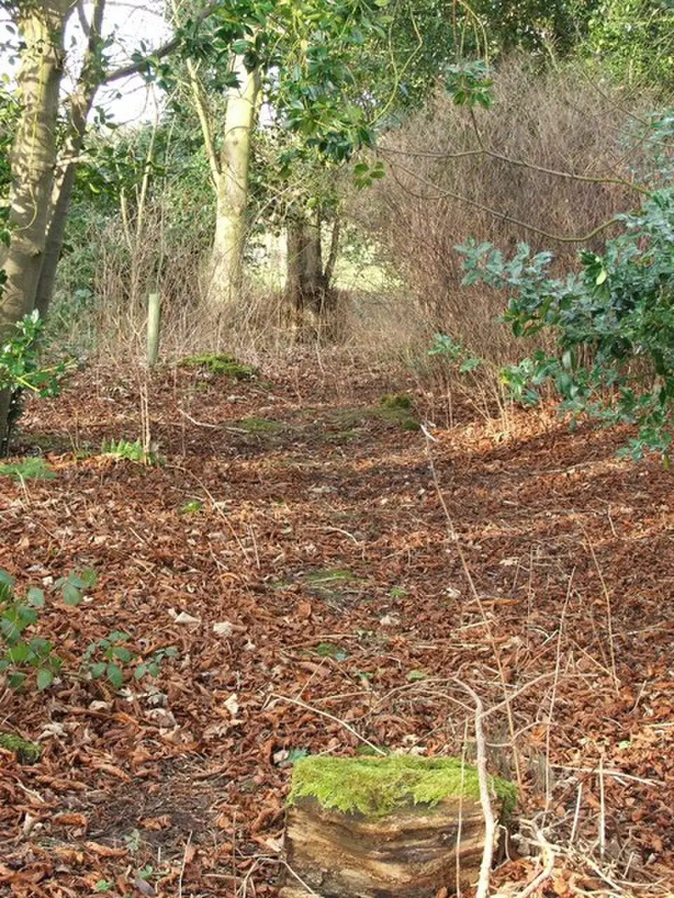 Tritlington