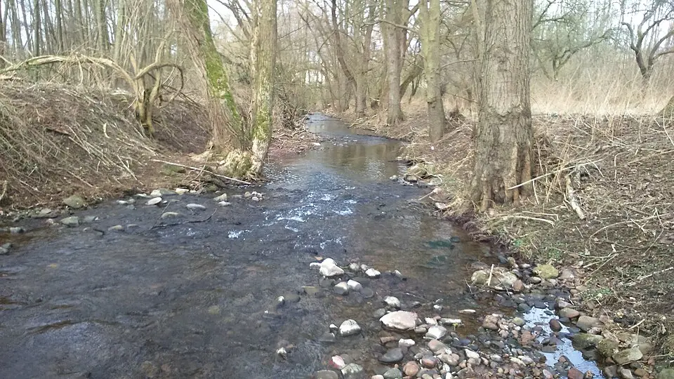 Wildbach