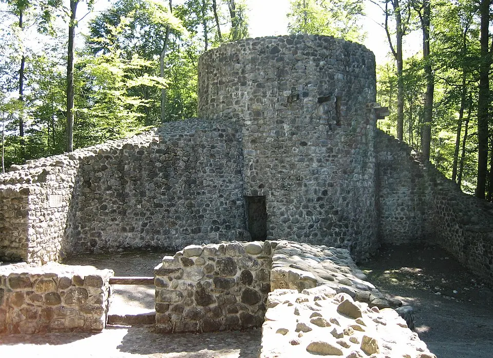 Wildenburg Castle