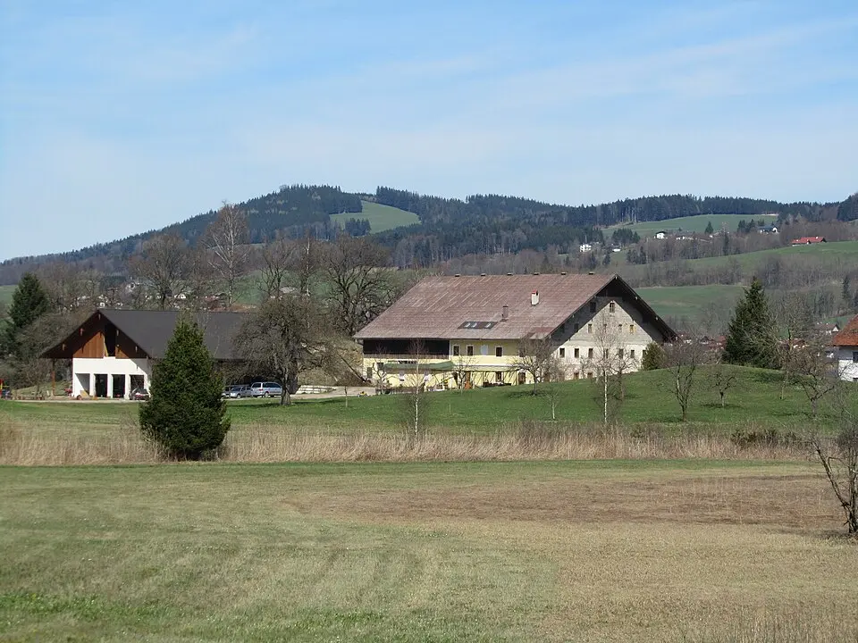 Ehem. Meierhof, Wildeneggergut samt Stadel