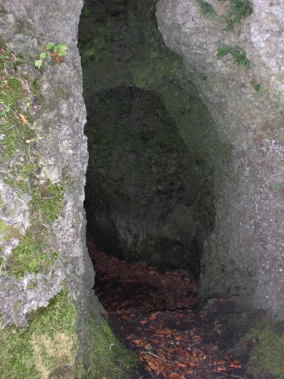 Slika: Derzno · CC BY 3.0 Burghöhle in Wildenfels
