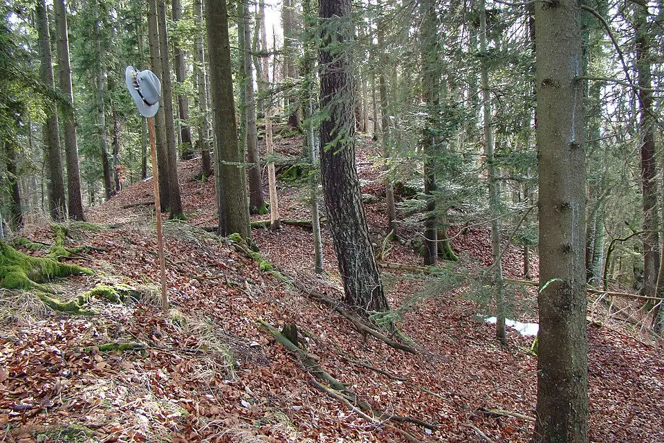 Burg Wildentierberg