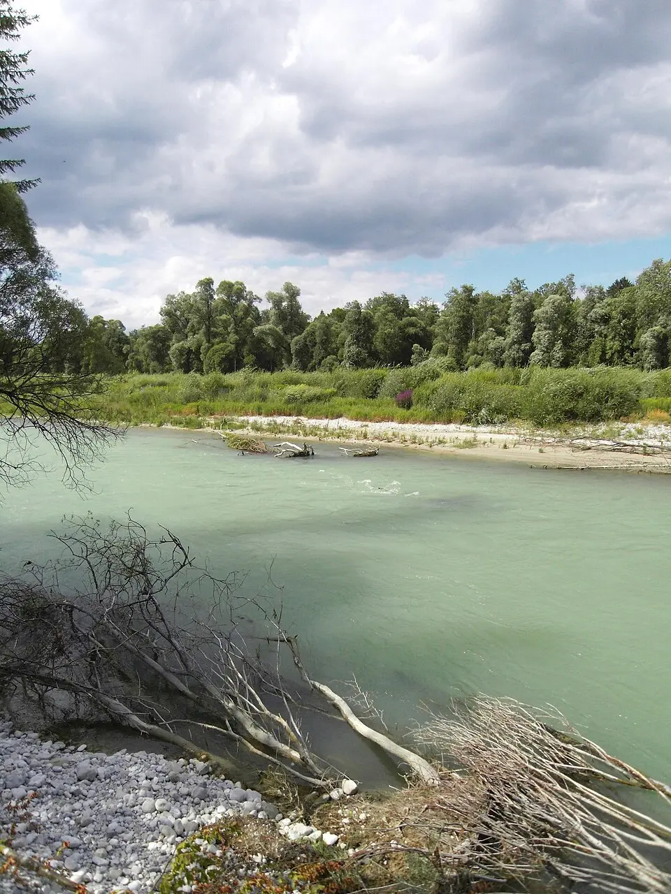Wolfratshauser Forst