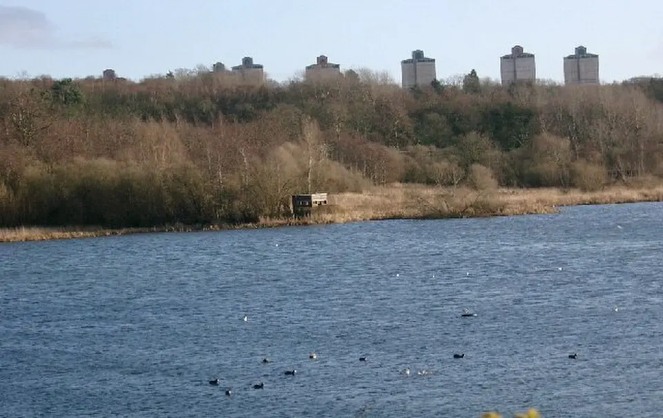 Baron's Haugh RSPB Reserve