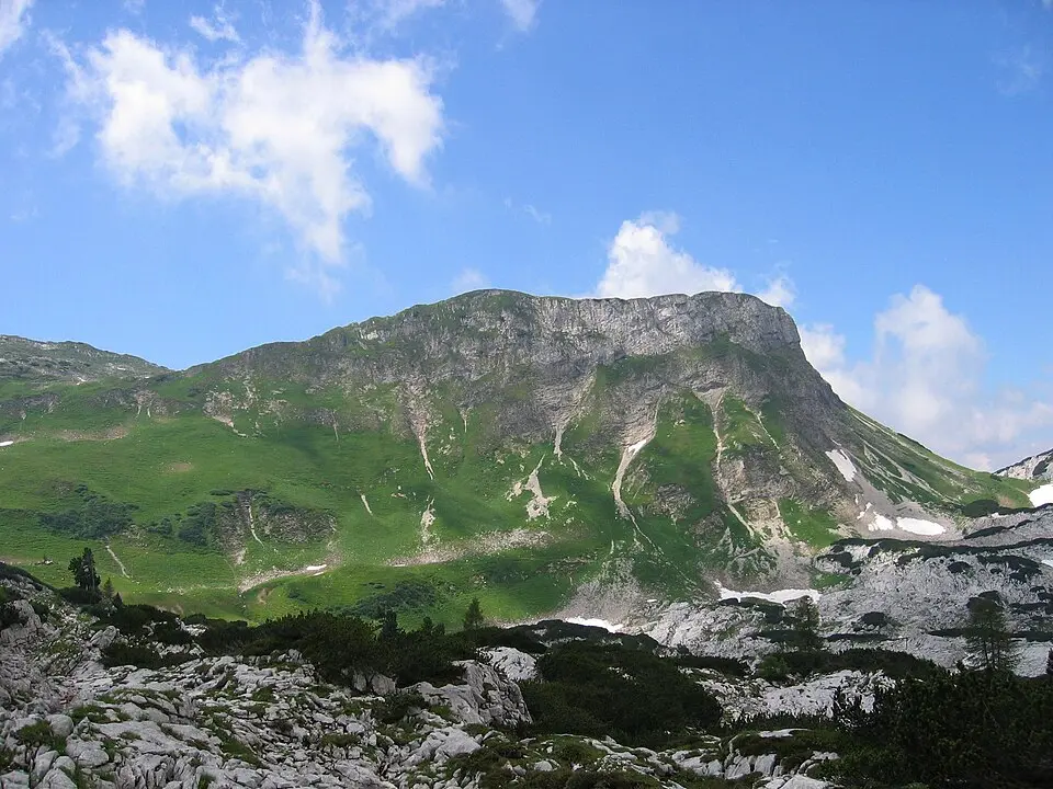 Wildgößl