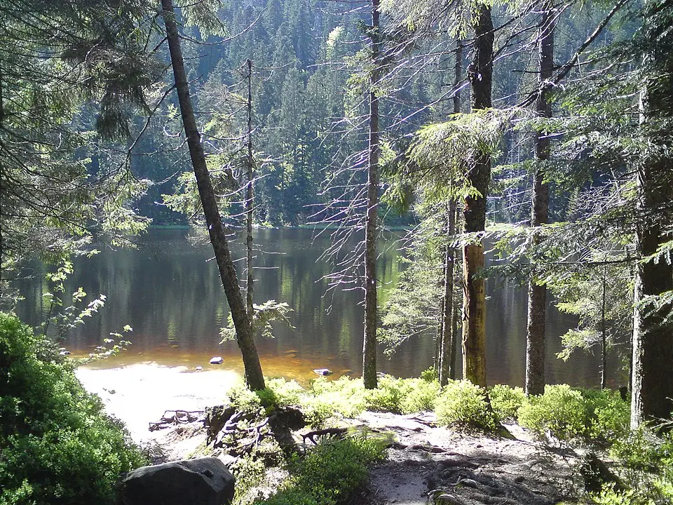 Wildsee