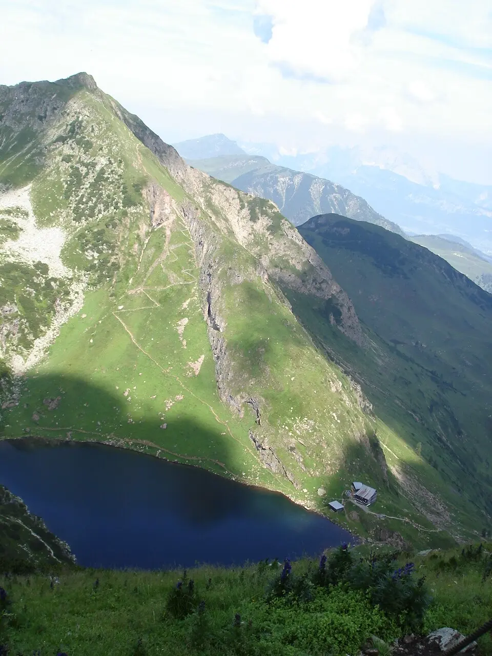 Image: stefanski · Public domain Wildseeloder