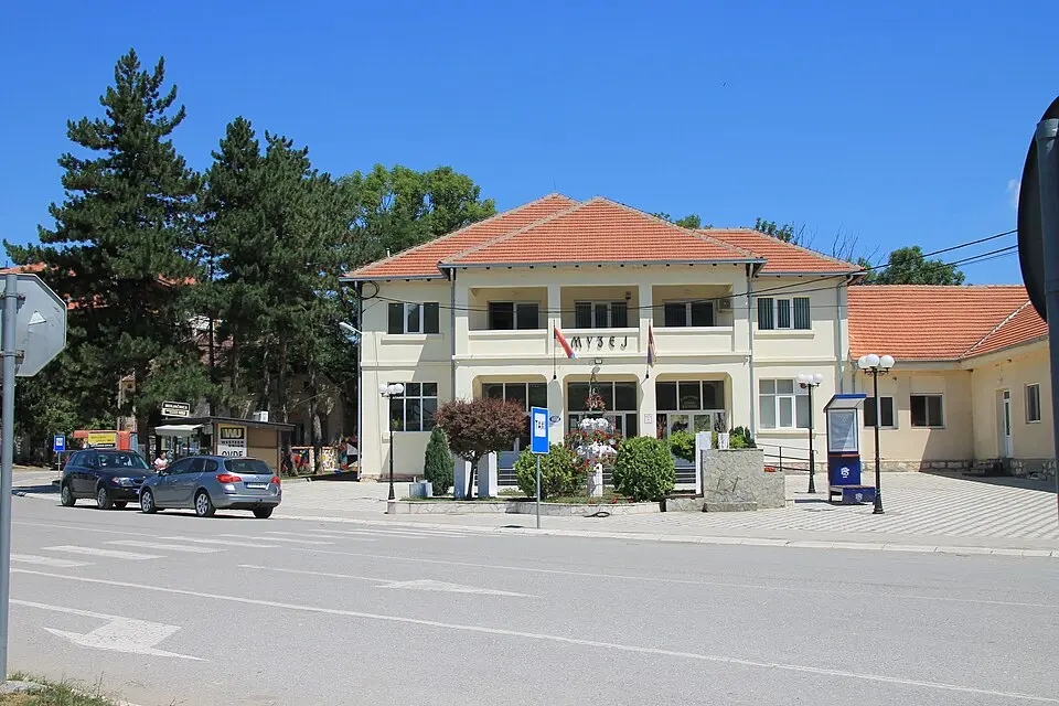 Завичајни музеј Хомоља