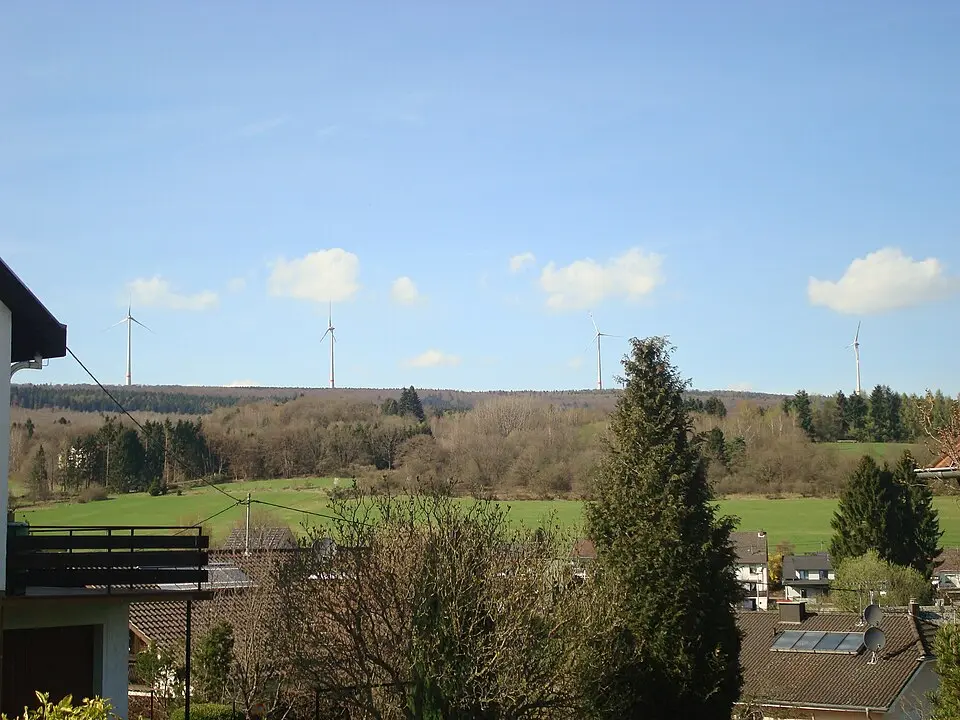 Schimmelkopf