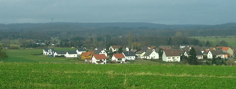 Ellerspring