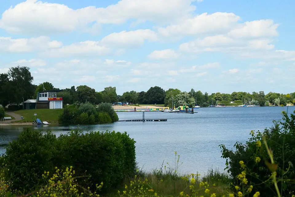 Wisseler See