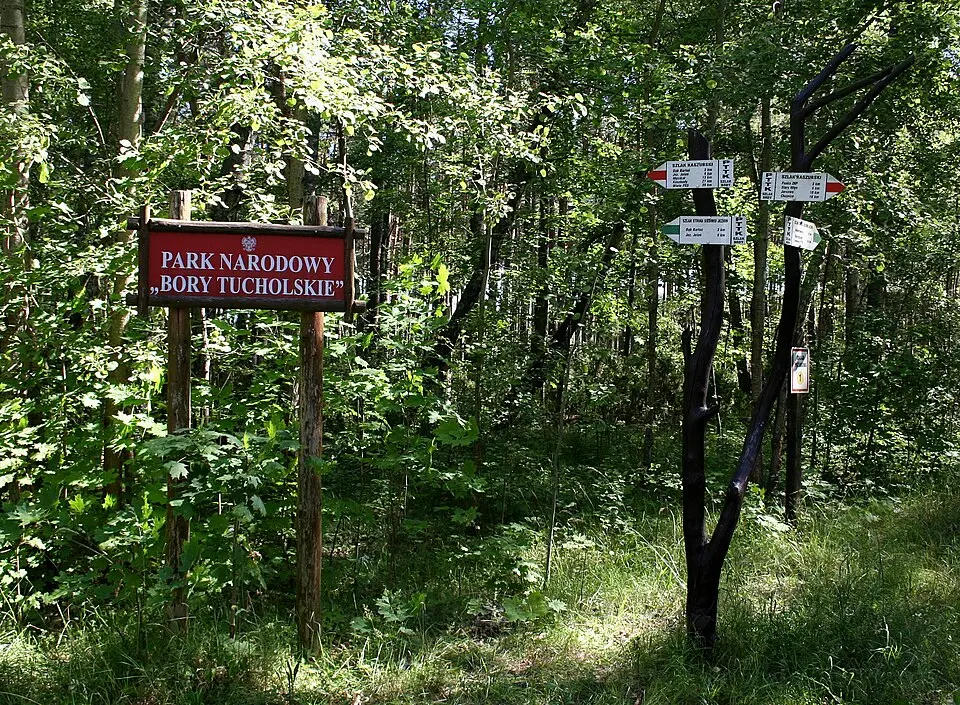 Nationalpark Bory Tucholskie