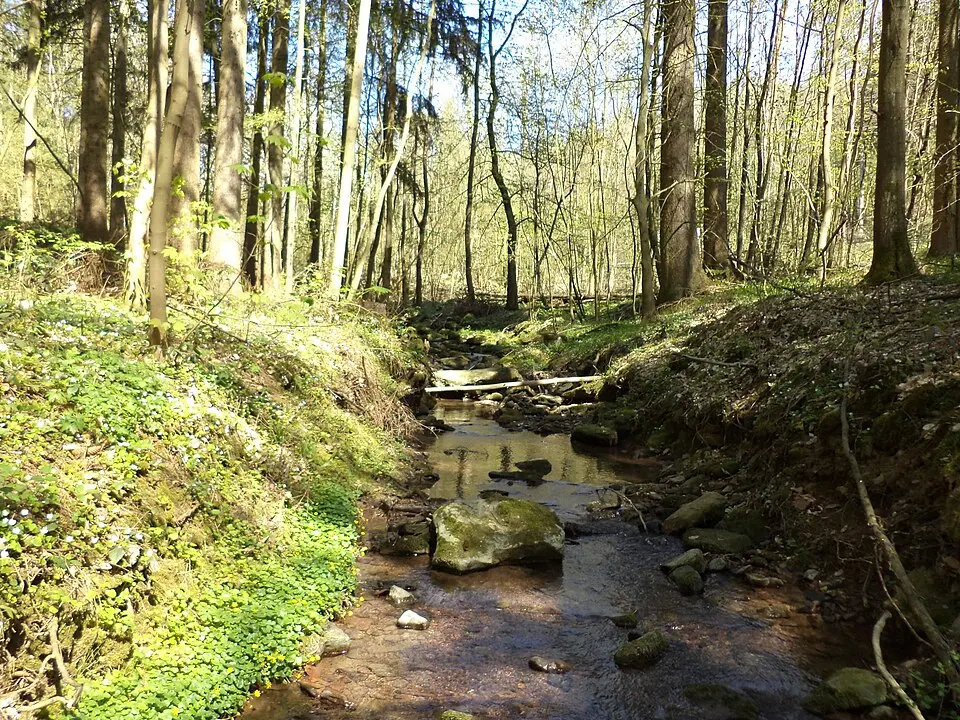 Wittbach