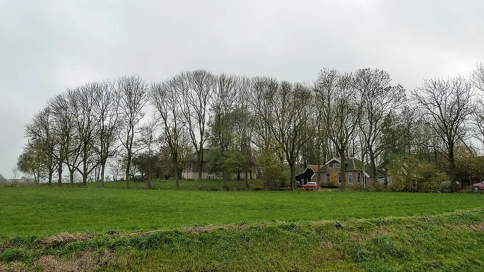 Terrein met een wierde en overblijfselen van Klooster Bloemhof