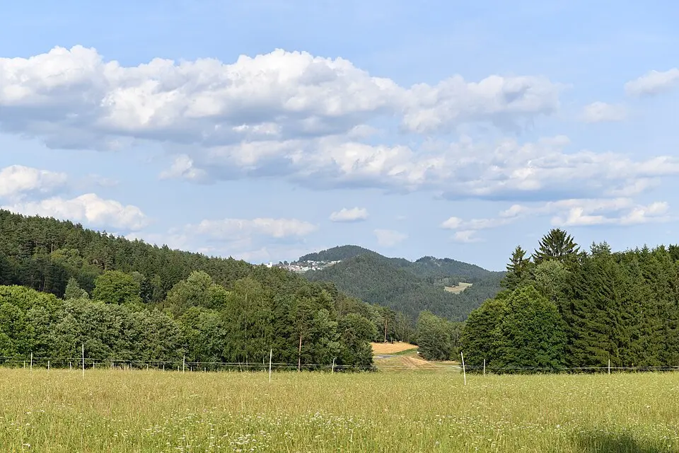 Predigtberg