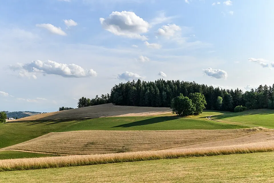 Wimmerhöhe