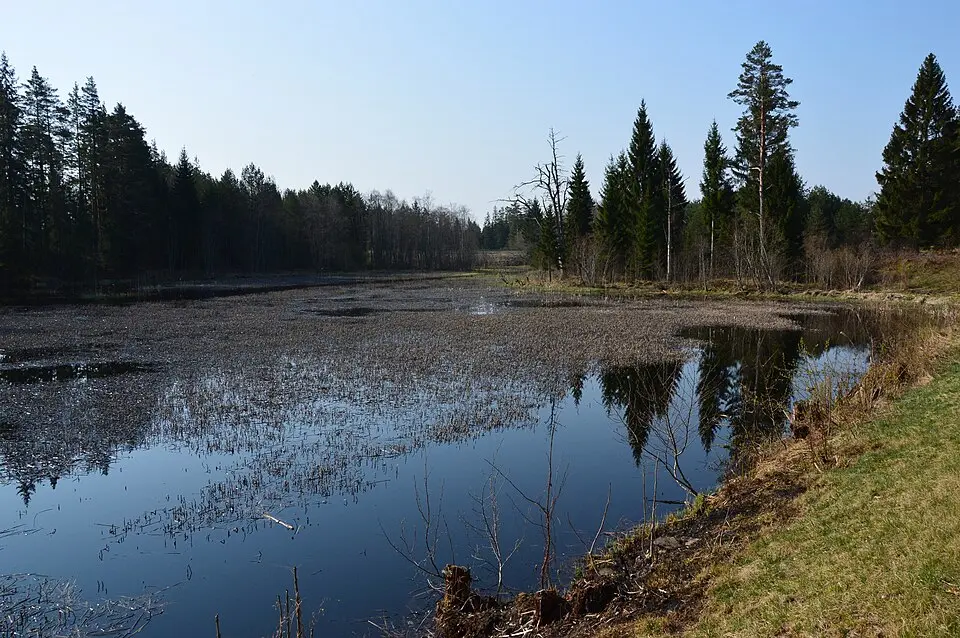 Rõuge-folyó