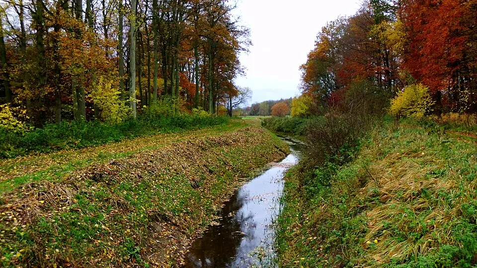 Immagine: Botaurus · Public domain Millienhagen-Oebelitz