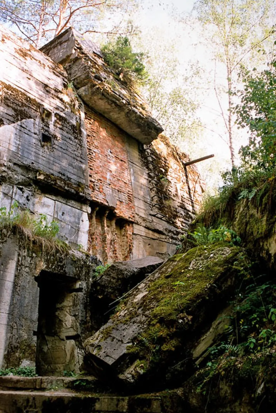 Wolf's Lair