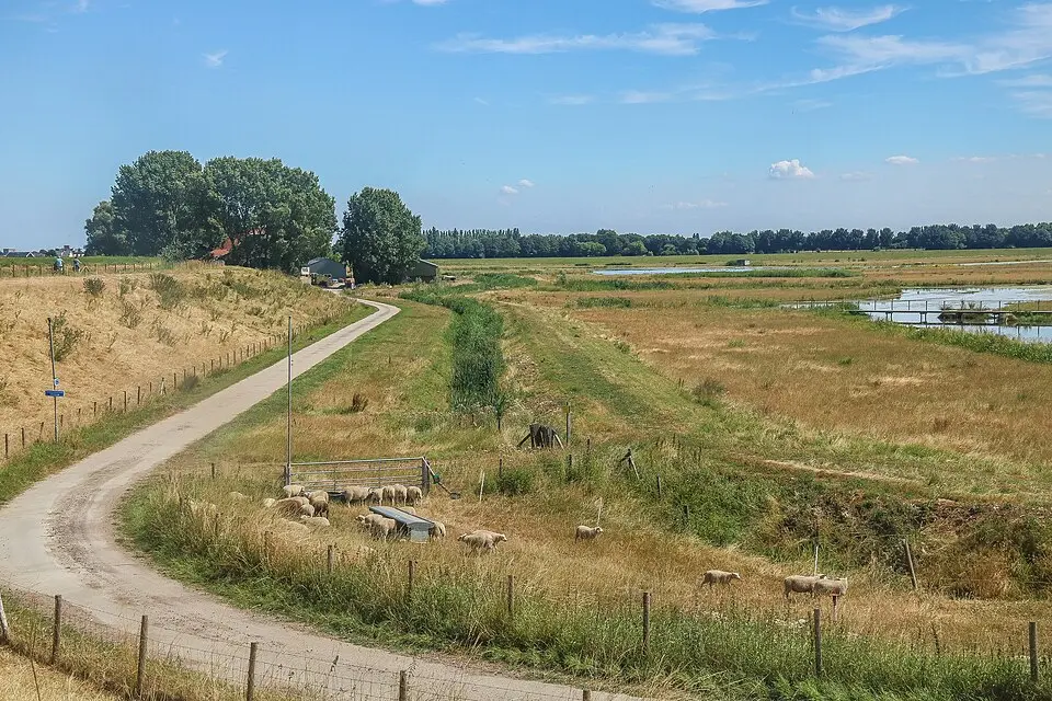 Image: Peter van der Sluijs · CC BY-SA 4.0 Wolvenpolder