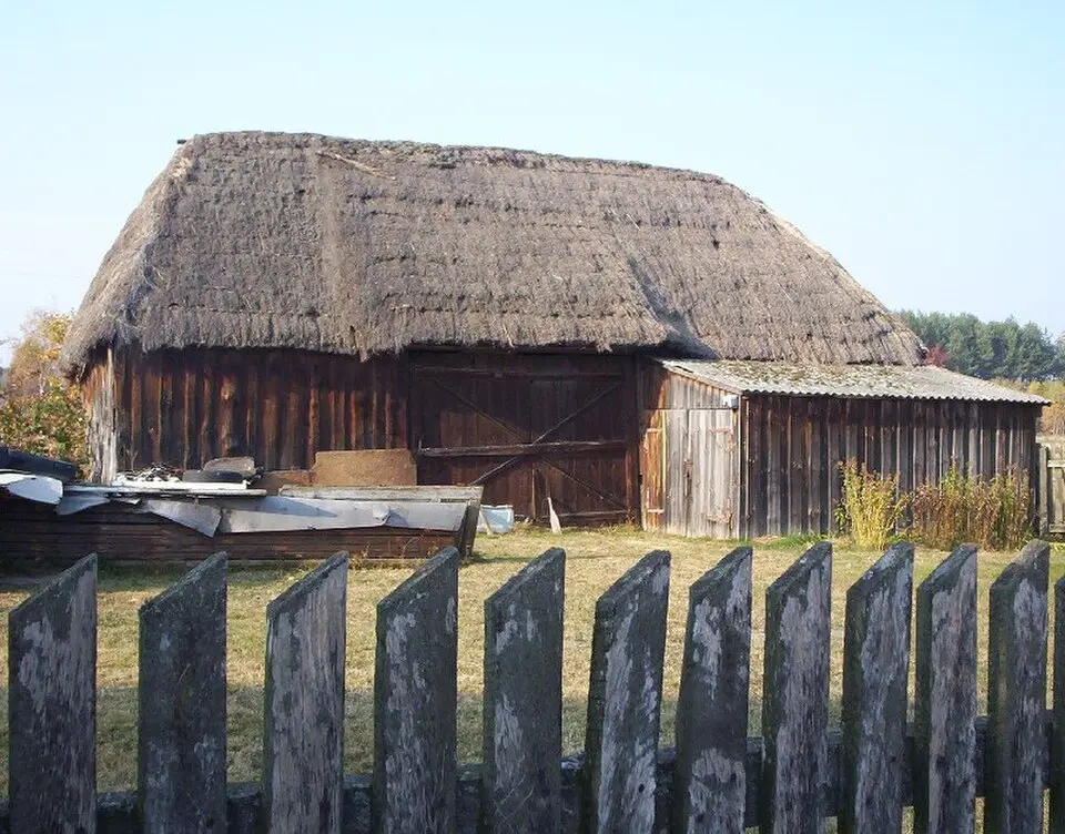 Bartoszówka