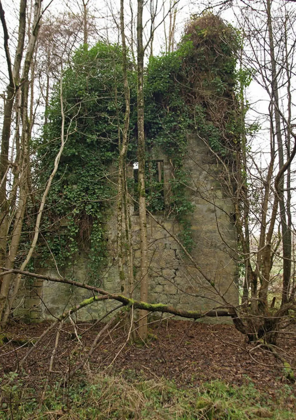 Woodhead House