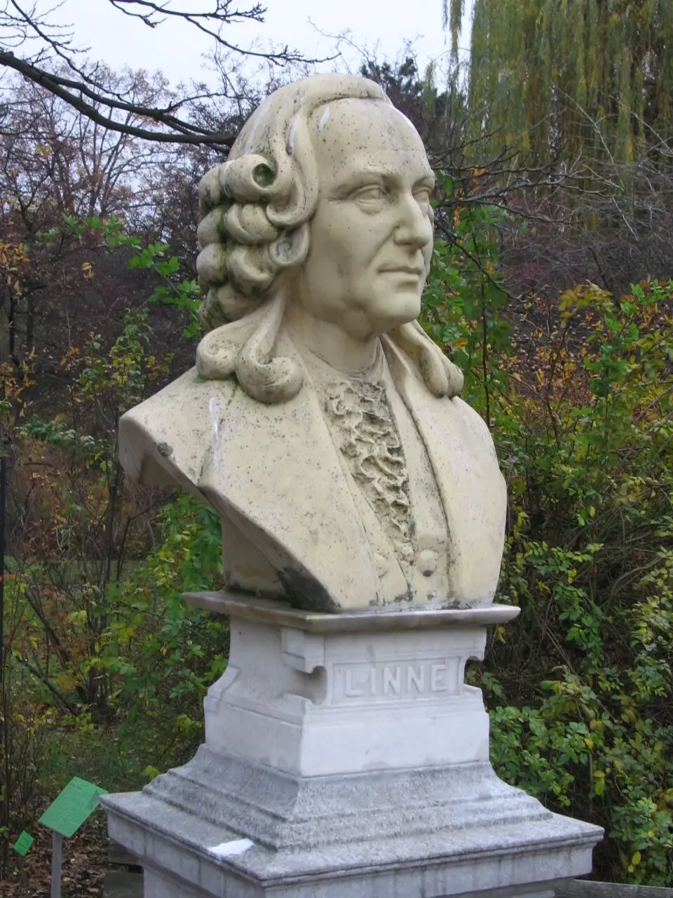 Pomnik Karola Linneusza