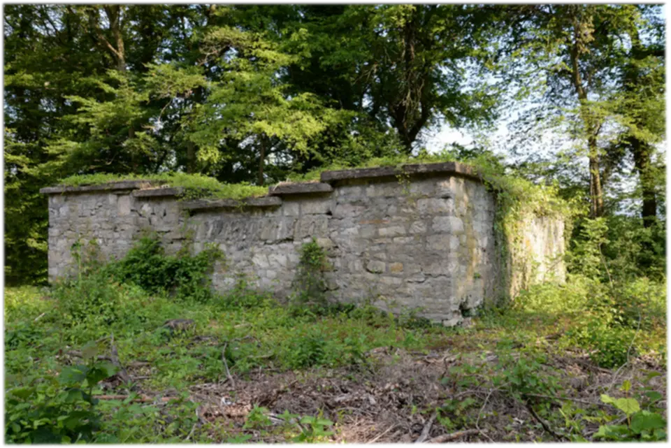 Kleiner Laufen, part of the late Roman Rhine fortifications