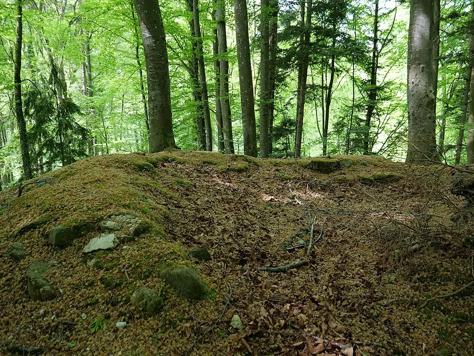 Image: Lokolia · CC BY-SA 4.0 Burg Wunnenberg