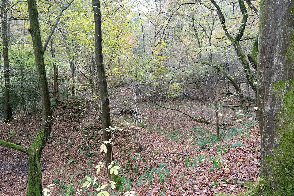 Friedrichshammer