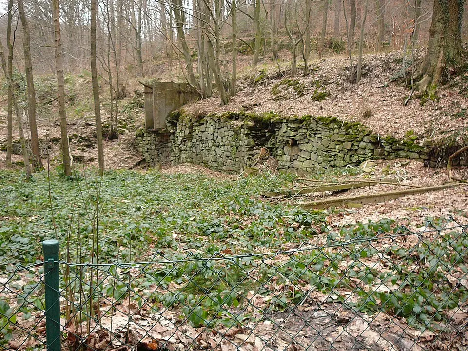 Hundsschüppe