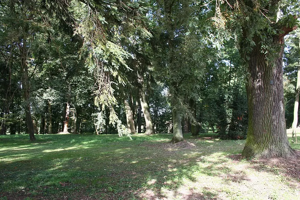 Park pałacowy