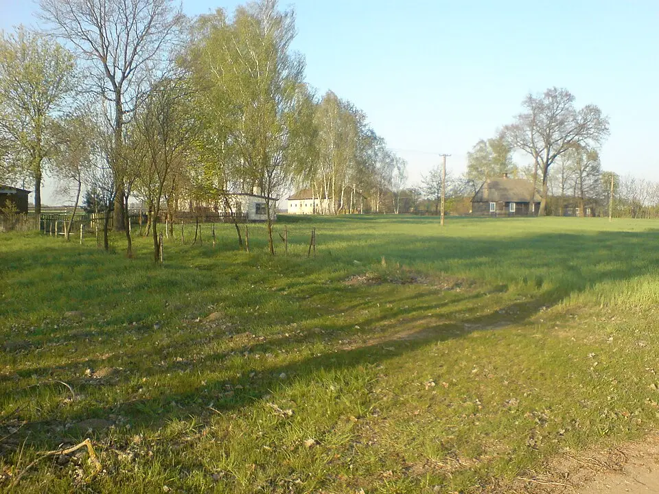 Wygoda