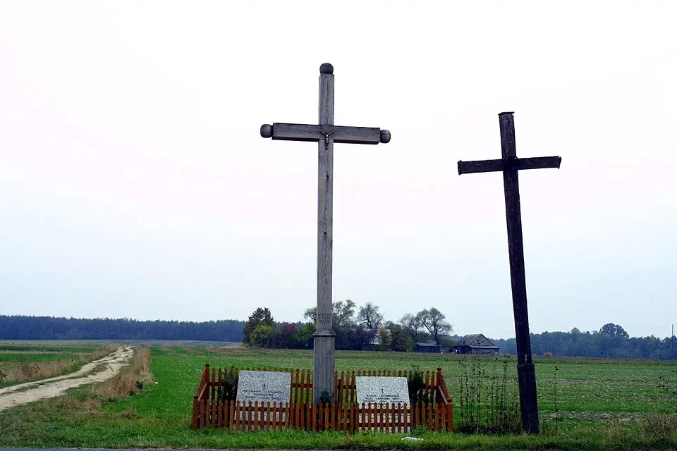 Wymysły