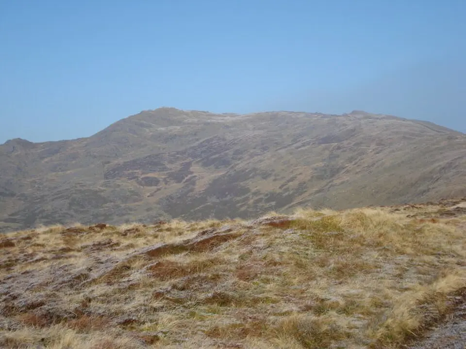 Y Garn