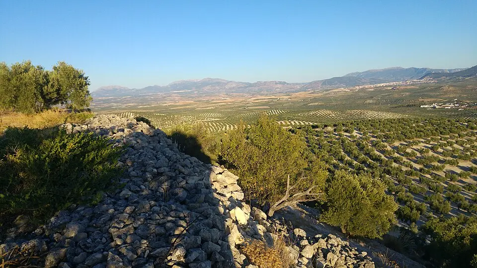 Yacimiento de Las Atalayuelas