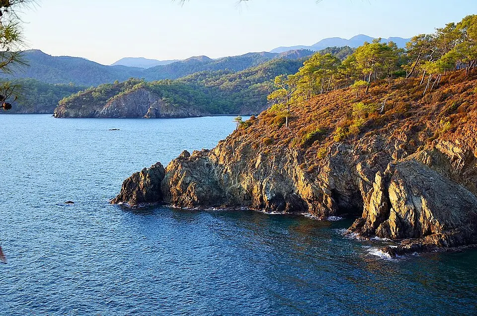 Yanıklar