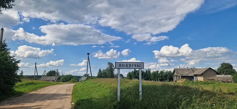 Janavičy