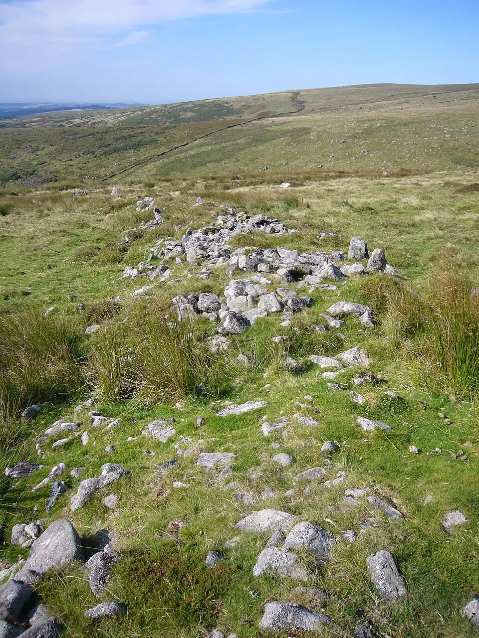 Five stone hut circles 320m east of Yealm Steps forming part of a large stone hut circle settlement