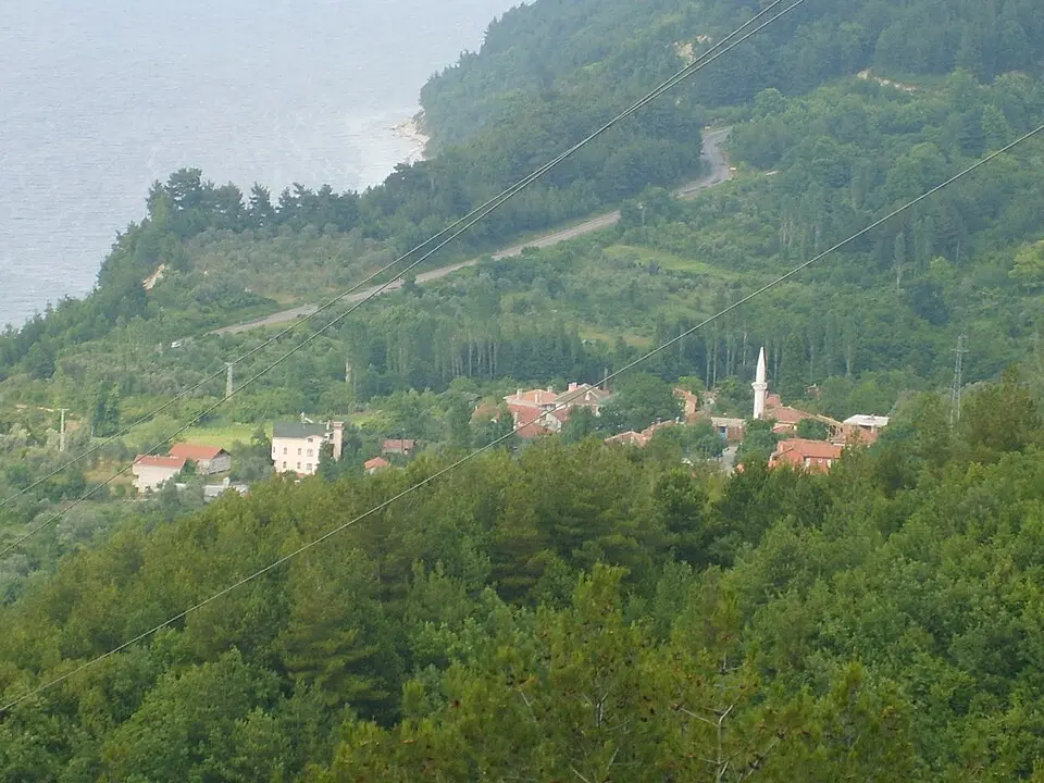 Yeşilyuva