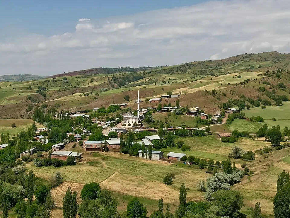 Yedikardeş