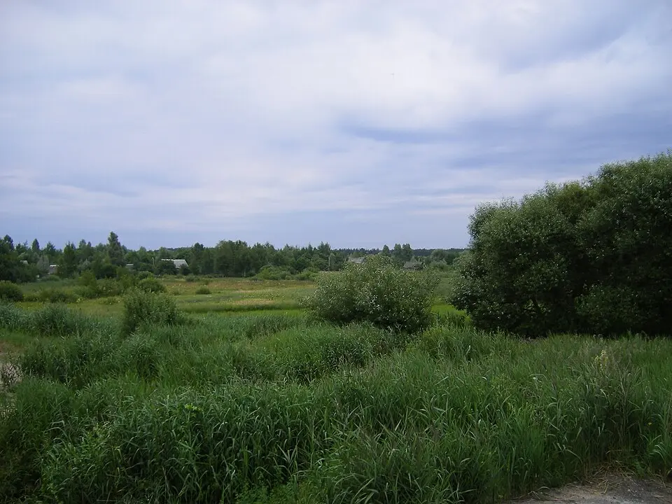 Raën di El'sk