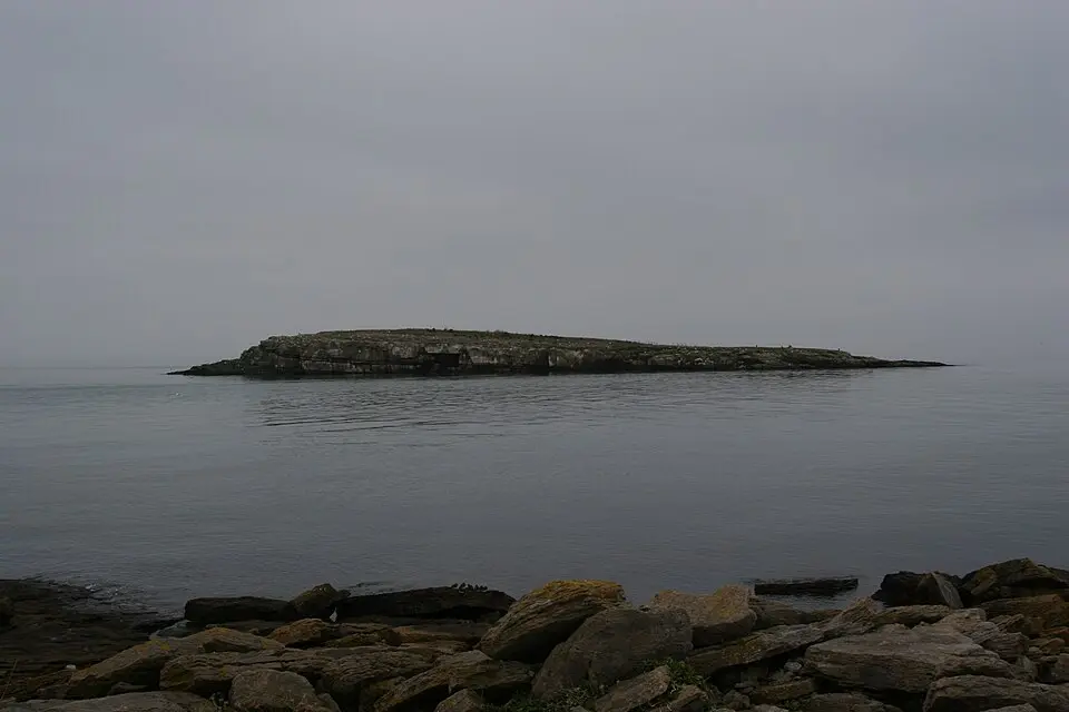 Ynys Moelfre